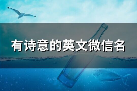 有詩意的英文微信名(精選91個)