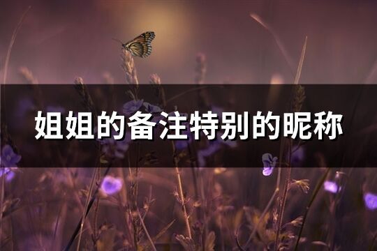 姐姐的備注特別的昵稱(精選80個(gè))