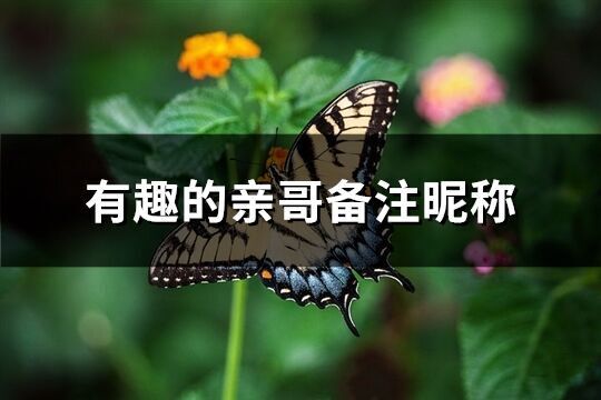 有趣的親哥備注昵稱(共82個)