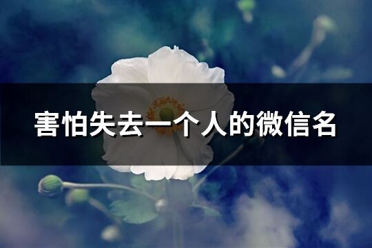 害怕失去一個人的微信名(優選92個)