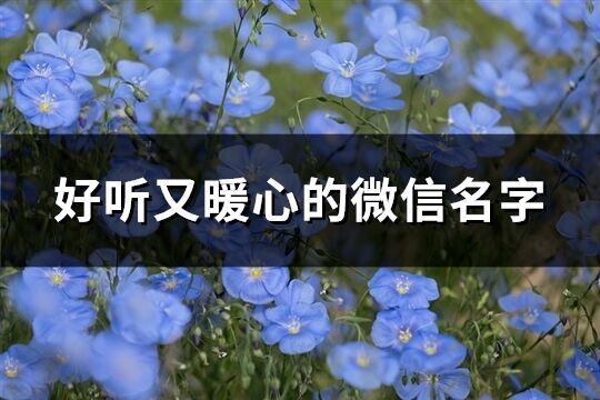好聽又暖心的微信名字(419個)