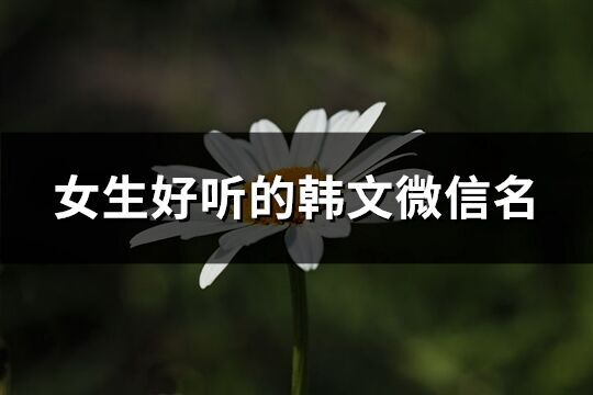 女生好聽的韓文微信名(共67個)