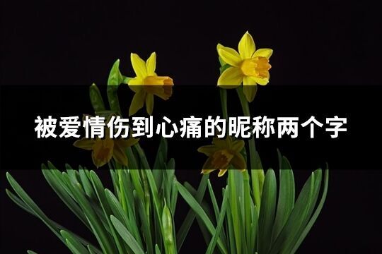 被愛情傷到心痛的昵稱兩個字(優選156個)