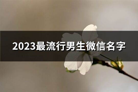 2023最流行男生微信名字(精選4047個)
