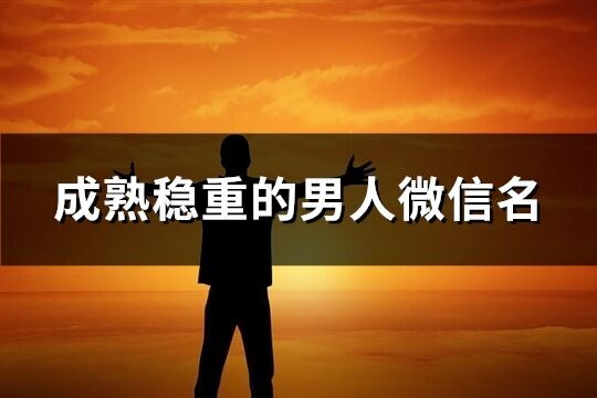成熟穩重的男人微信名(共937個)