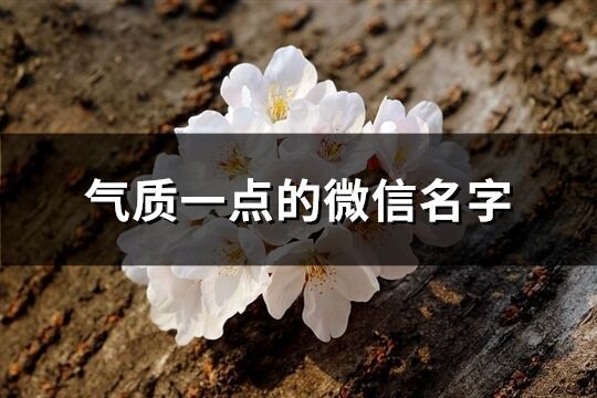 氣質一點的微信名字(優選1650個)