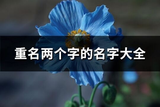 重名兩個字的名字大全(優(yōu)選109個)