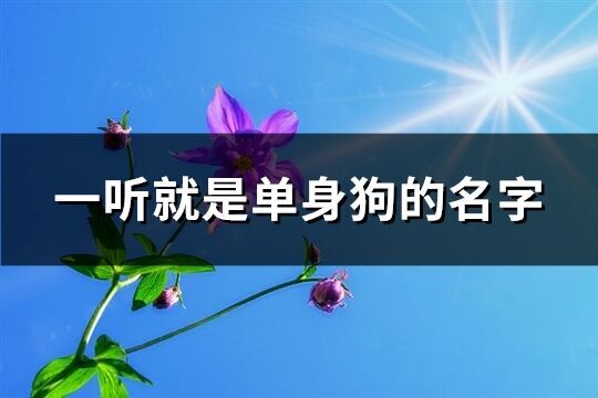 一聽就是單身狗的名字(431個)