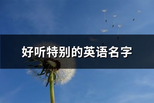 好聽特別的英語名字(精選180個)