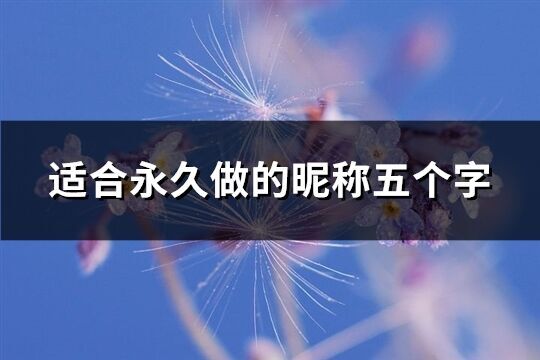 適合永久做的昵稱五個(gè)字(優(yōu)選255個(gè))
