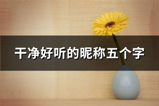 干凈好聽的昵稱五個字(精選285個)