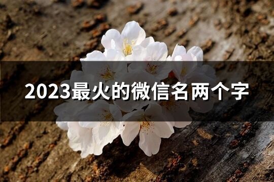 2023最火的微信名兩個字(精選1390個)