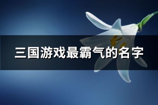 三國游戲最霸氣的名字(共255個)