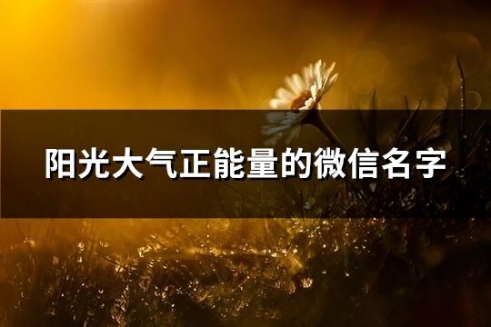 陽光大氣正能量的微信名字(優選888個)