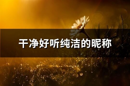 干凈好聽純潔的昵稱(700個)