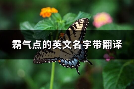 霸氣點的英文名字帶翻譯(精選84個)