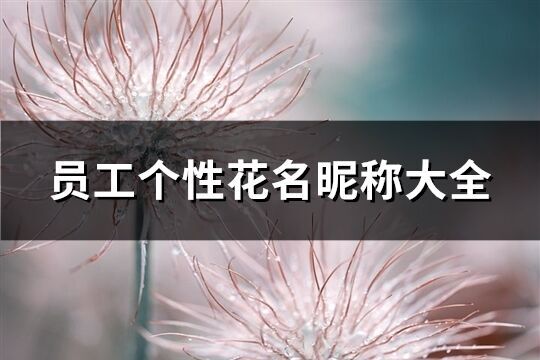 員工個(gè)性花名昵稱大全(優(yōu)選200個(gè))