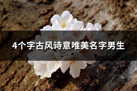 4個字古風詩意唯美名字男生(416個)