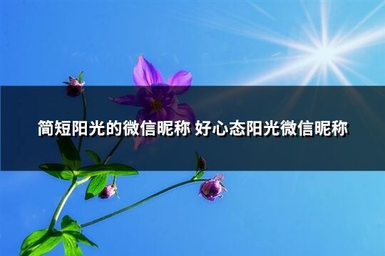 簡短陽光的微信昵稱 好心態(tài)陽光微信昵稱(精選452個)