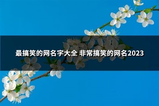 最搞笑的網名字大全 非常搞笑的網名2023(共253個)