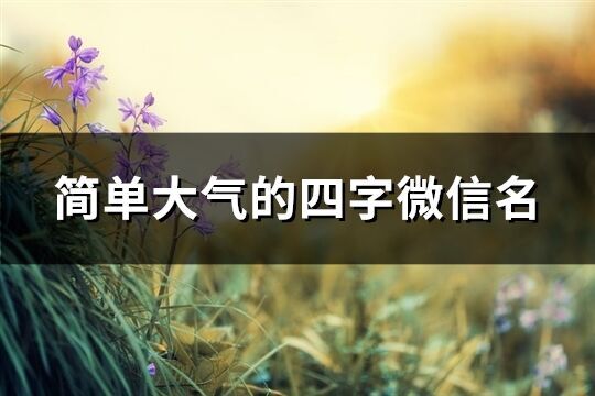 簡單大氣的四字微信名(優選673個)