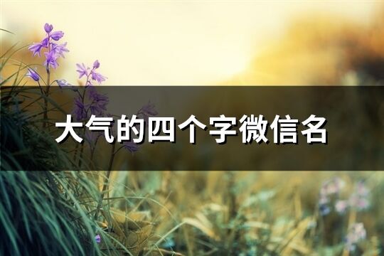 大氣的四個字微信名(精選368個)