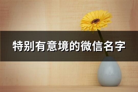 特別有意境的微信名字(558個(gè))