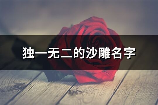 獨一無二的沙雕名字(共137個)