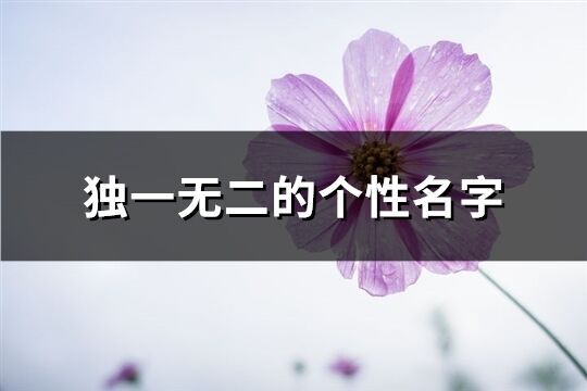 獨一無二的個性名字(精選350個)