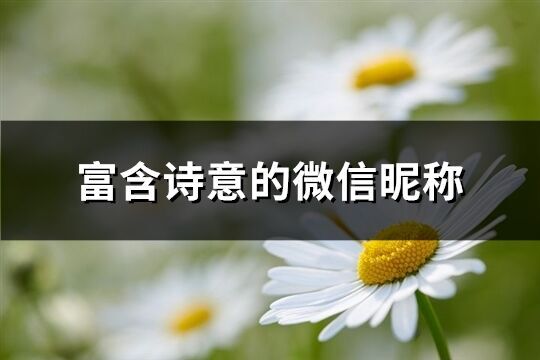 富含詩意的微信昵稱(237個)