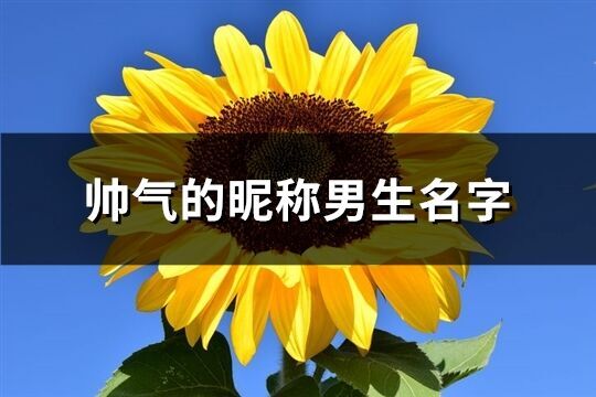 帥氣的昵稱男生名字(824個)