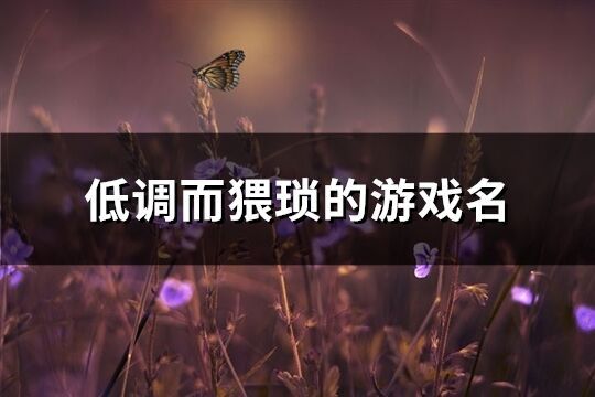 低調(diào)而猥瑣的游戲名(優(yōu)選256個)