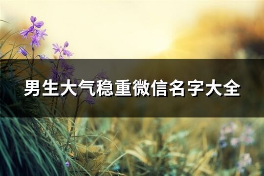 男生大氣穩(wěn)重微信名字大全(1189個)