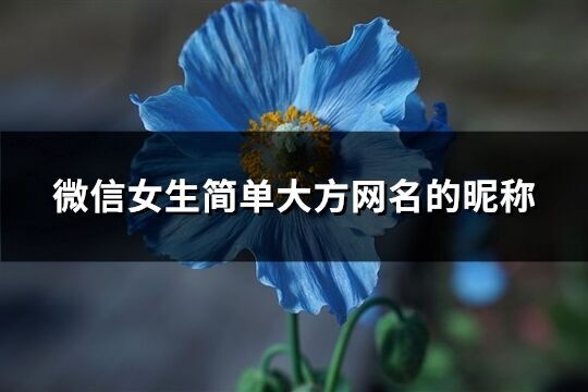 微信女生簡(jiǎn)單大方網(wǎng)名的昵稱(共360個(gè))