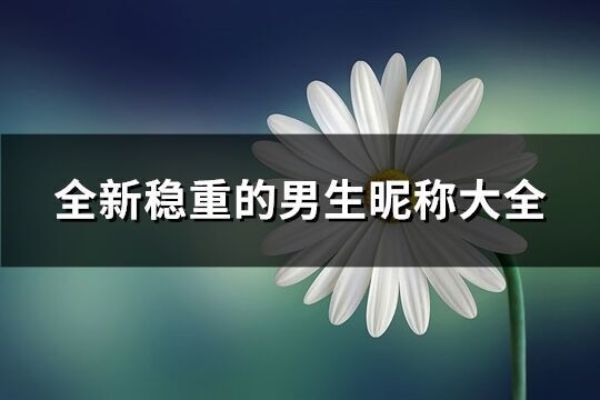 全新穩(wěn)重的男生昵稱大全(共1509個)