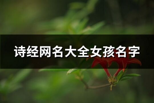 詩經(jīng)網(wǎng)名大全女孩名字(62個)