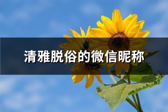 清雅脫俗的微信昵稱(精選156個)