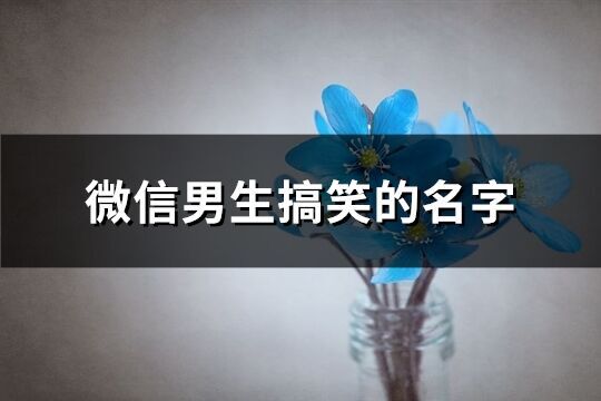微信男生搞笑的名字(389個)