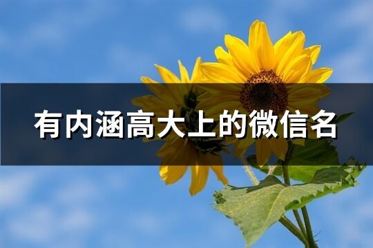 有內涵高大上的微信名(344個)