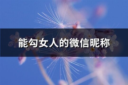 能勾女人的微信昵稱(精選227個)