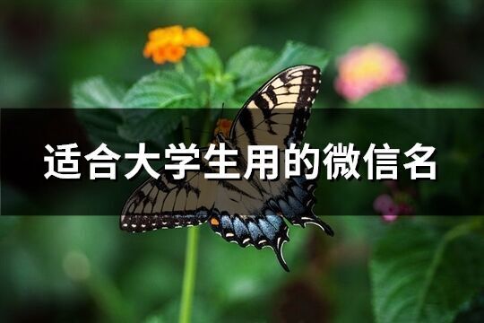 適合大學生用的微信名(優選121個)