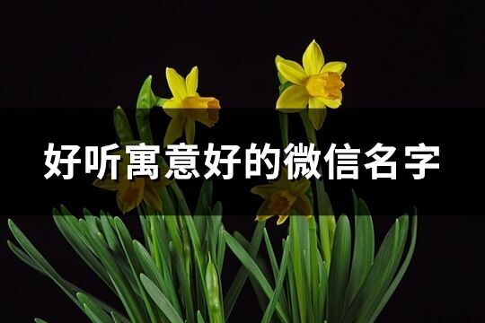 好聽寓意好的微信名字(精選208個)