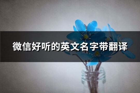 微信好聽的英文名字帶翻譯(優(yōu)選142個)