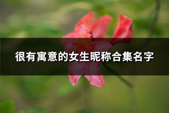 很有寓意的女生昵稱合集名字(優選386個)