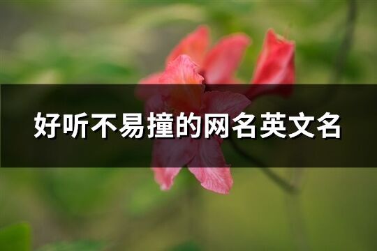 好聽不易撞的網名英文名(88個)