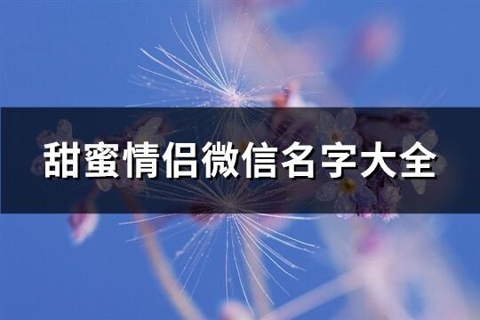 甜蜜情侶微信名字大全