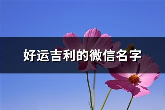 好運吉利的微信名字(2607個)