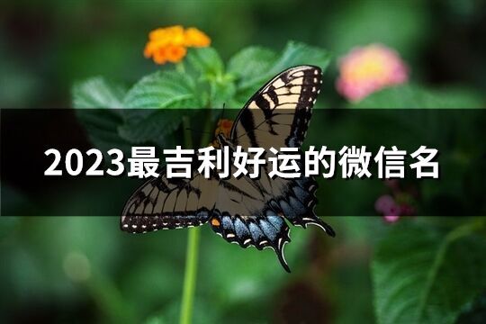 2023最吉利好運的微信名(精選5786個)