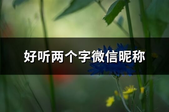 好聽兩個字微信昵稱(共1425個)