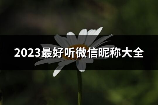 2023最好聽微信昵稱大全(精選588個)